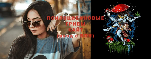 индика Семилуки