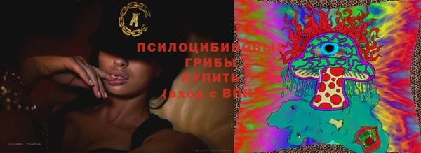 скорость Алексеевка