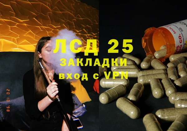 прущий лед Алзамай