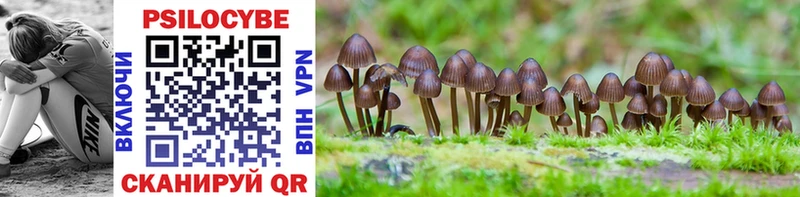 Галлюциногенные грибы Magic Shrooms купить Лобня