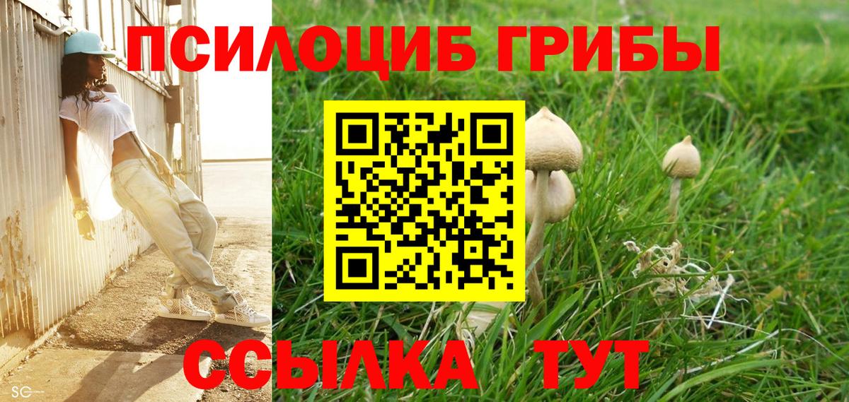 Псилоцибиновые грибы Psilocybe Лобня