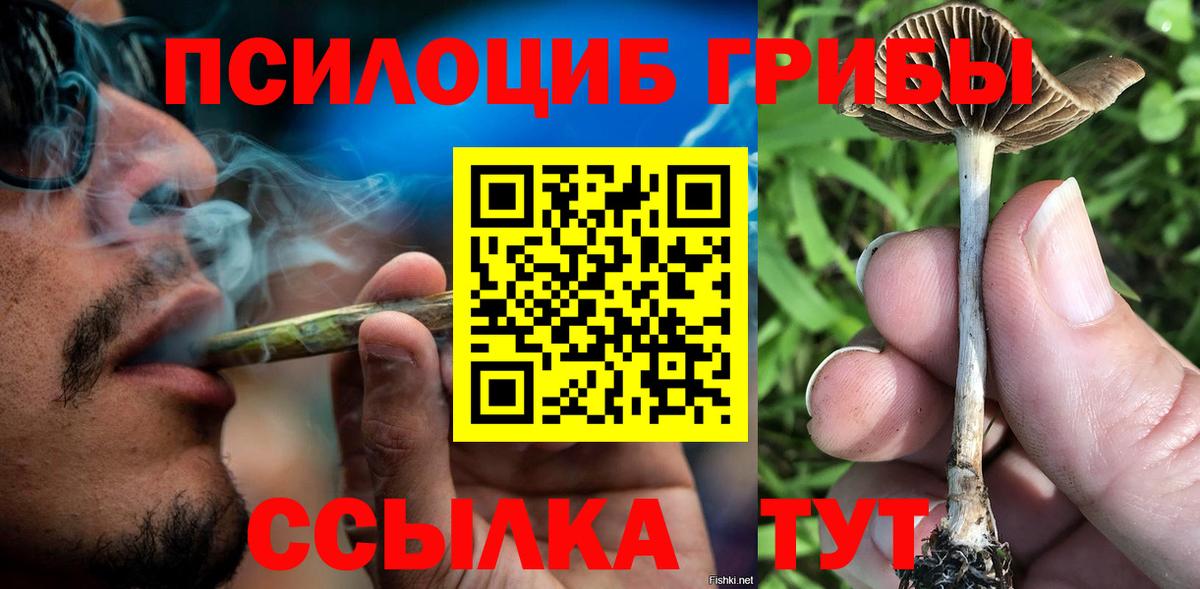 Лобня  Галлюциногенные грибы GOLDEN TEACHER  Вход с VPN 