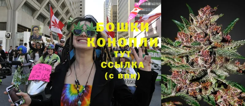 Шишки марихуана Ganja  наркотики  Лобня 